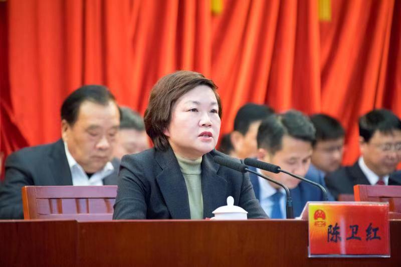 陈书记讲话.jpg